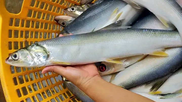 Cá đặc sản muốn mua phải đặt trước, 300.000 đồng/kg