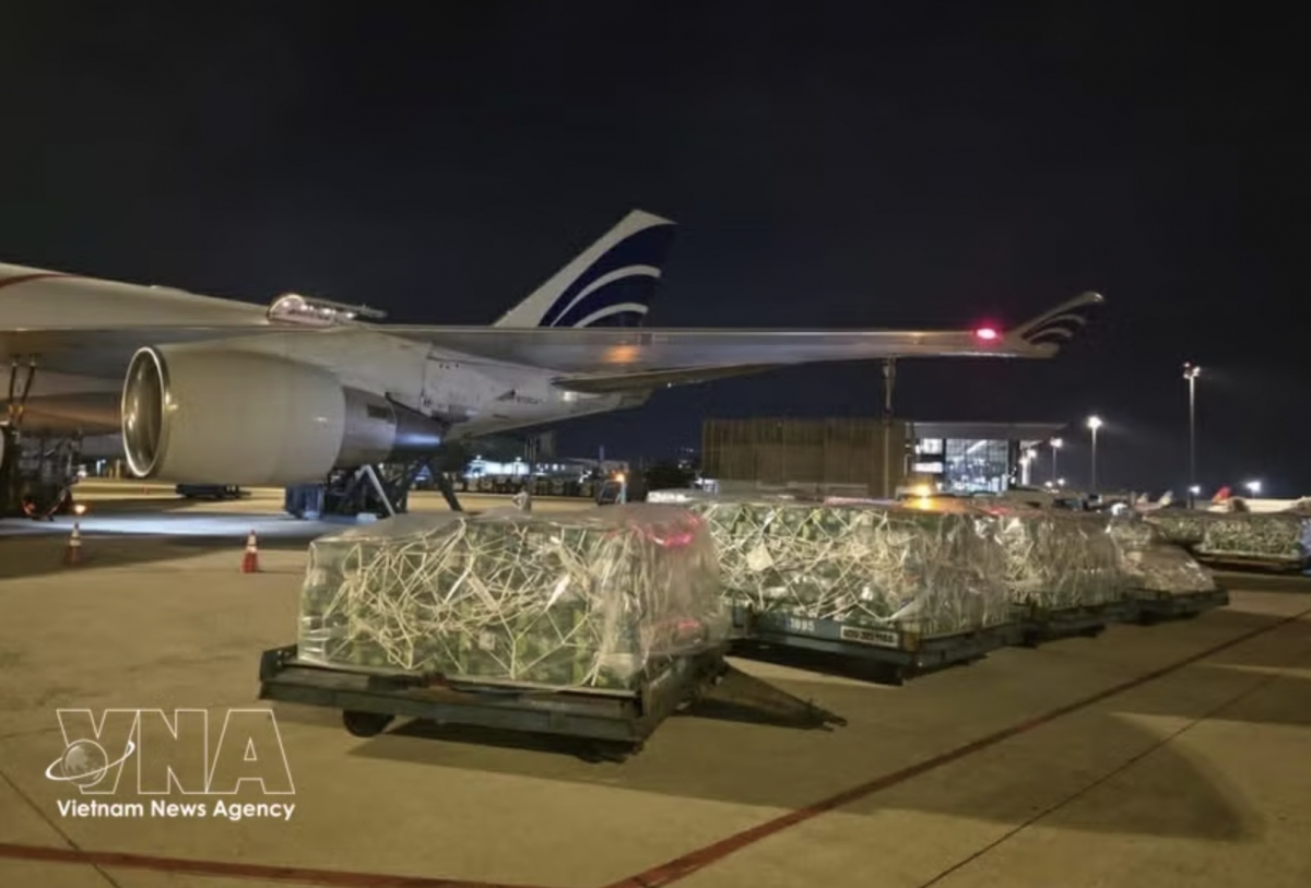 nearly 100 tonnes of vietnamese fruits, vegetables airlifted to uae picture 1