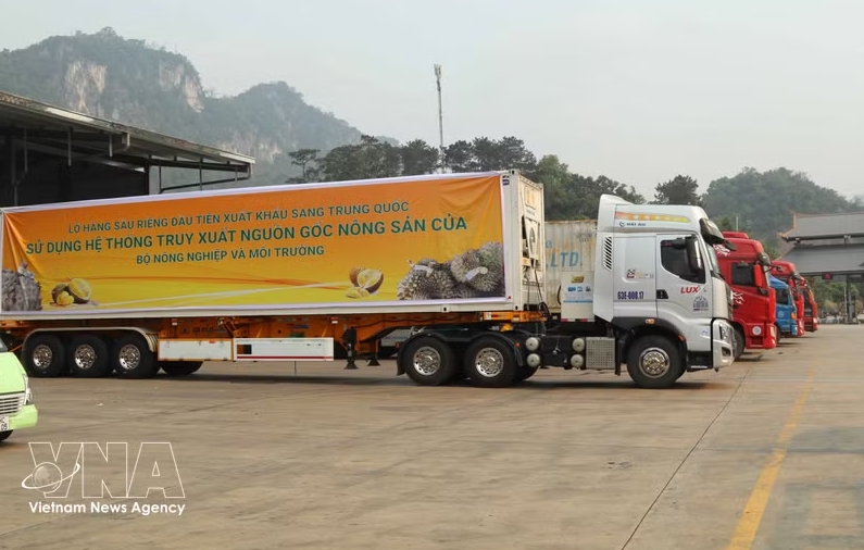First “green lane” durian shipment exported to China