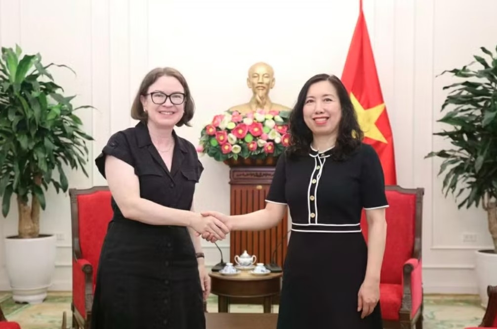 vietnam, ireland seek ways to step up bilateral cooperation picture 1