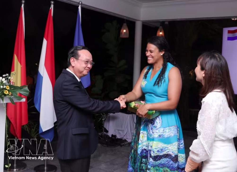 ho chi minh city pledges deeper practical cooperation with dutch partners picture 1