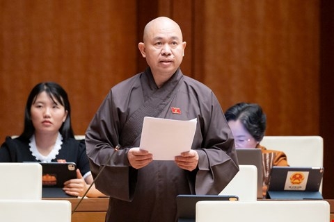 mien 100 thue de co vat viet hoi huong hinh anh 1