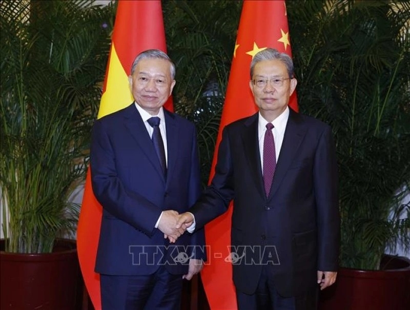 top leader to lam pushes for stronger vietnam china parliamentary ties picture 1