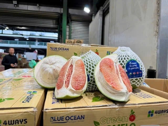 vietnamese green-skin pomelo hits the shelves in australia picture 1
