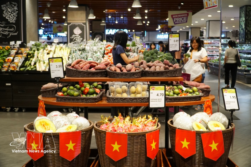 ovs encouraged to expand distribution channels for vietnamese goods abroad picture 1
