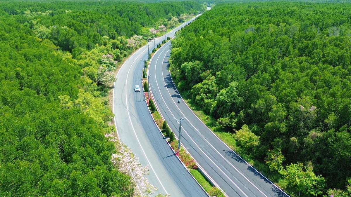 theo chan runner kham pha dien mao moi cua sieu diem den ben bien can gio dip 30 4 hinh anh 2