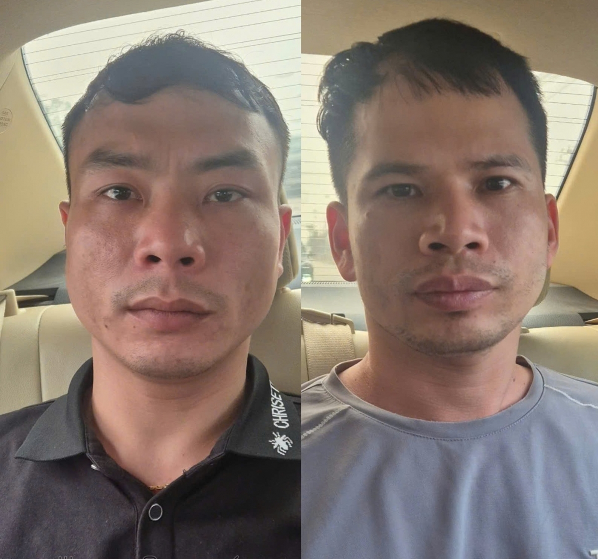 thu doan cua nhom doi tuong trom hon 300 con meo o ha noi hinh anh 1