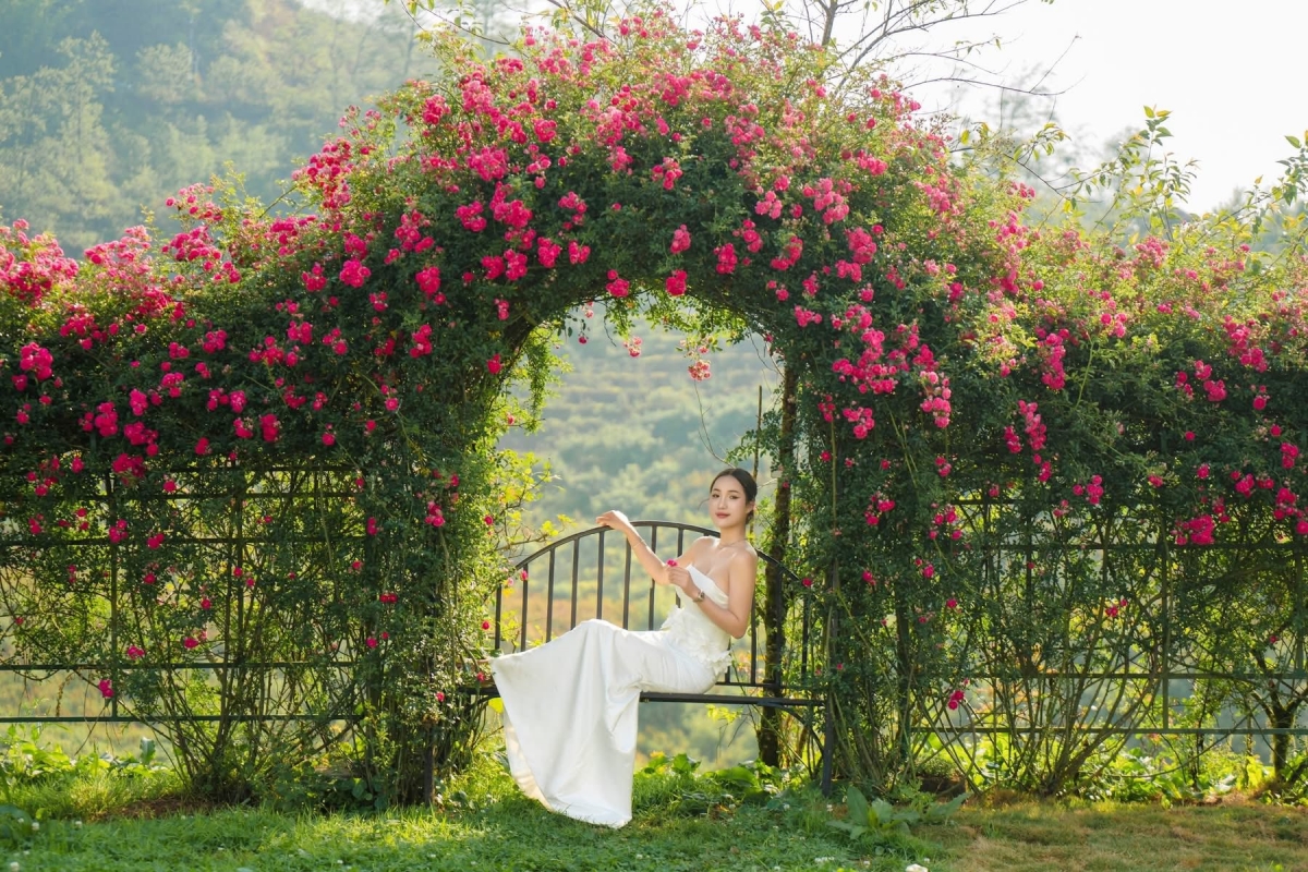 sun world fansipan legend khai mac le hoi hoa hong 2026 - ban giao huong hoa hong hinh anh 2