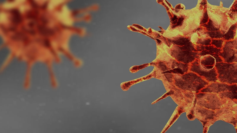 thai lan ban hanh canh bao benh whitmore sau khi ghi nhan 23 ca tu vong hinh anh 1