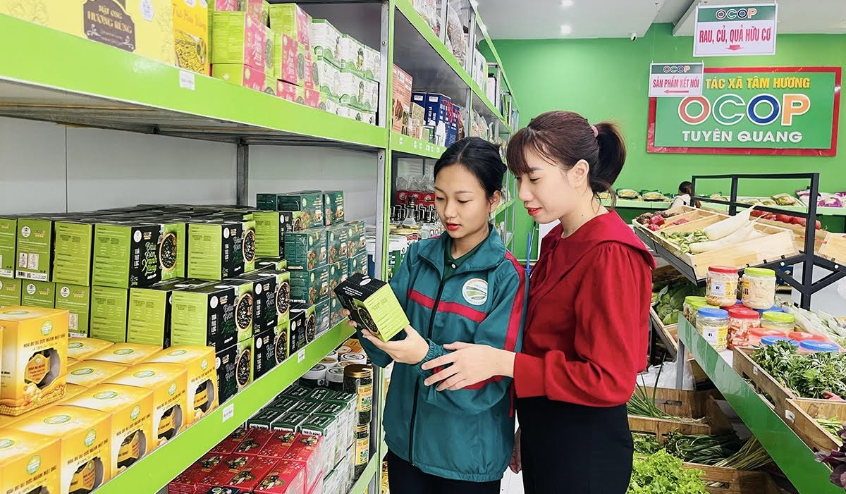 Tuyên Quang tăng cường quản lý, điều hành và bình ổn giá