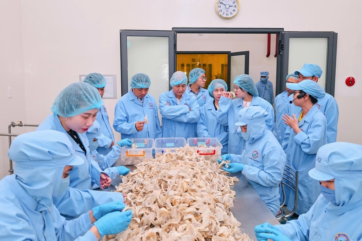 Dia com, to pho, ly ca phe len muc gia moi, gan 60 hang quan thua nhan tang gia hinh anh 2