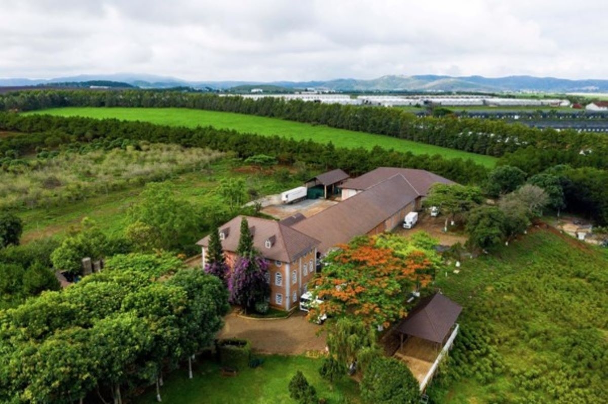 dalatmilk ra mat sua tuoi thanh trung huong chuoi hinh anh 1