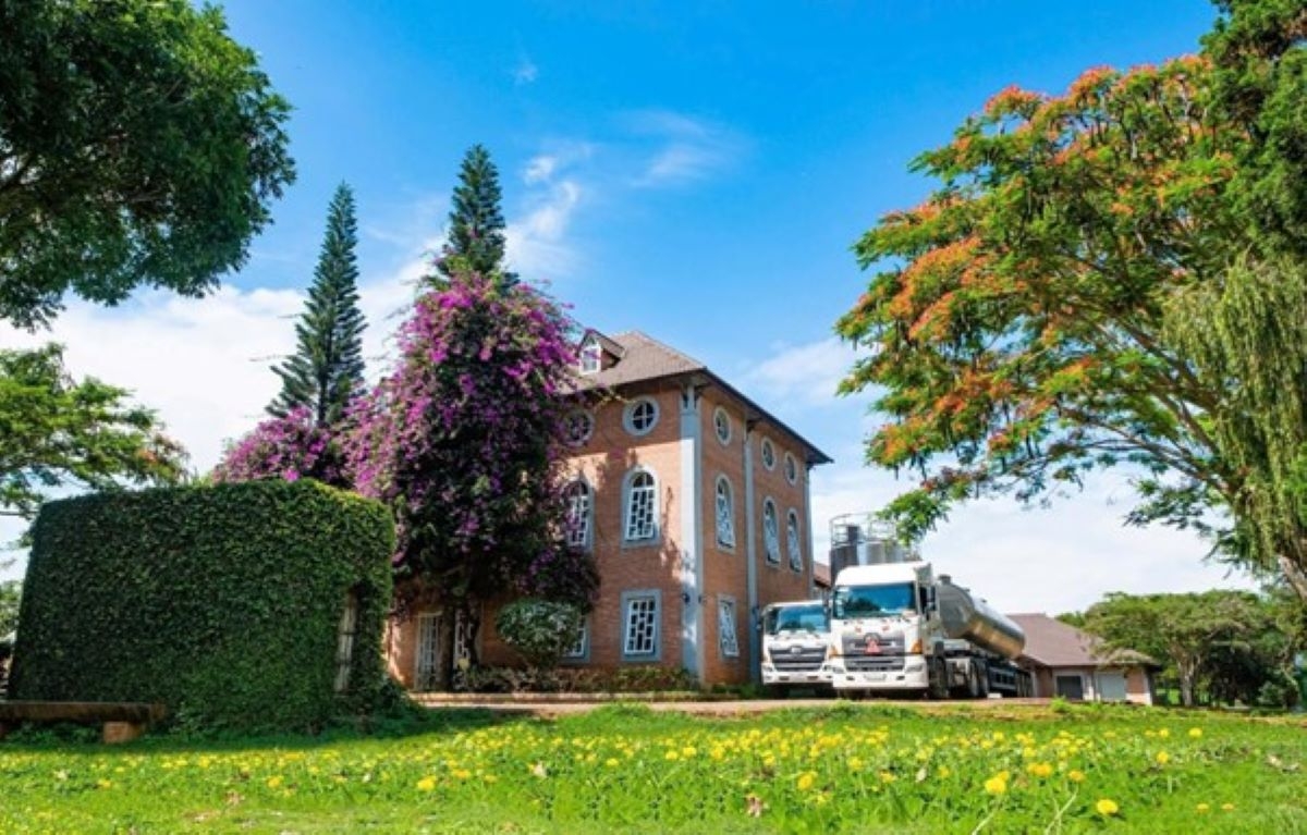 dalatmilk ra mat sua tuoi thanh trung huong chuoi hinh anh 2