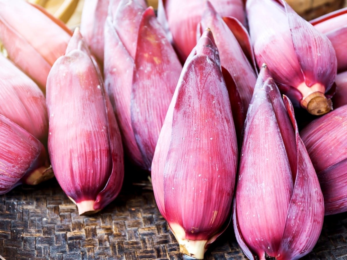  thuoc bo tu nhien co san o viet nam, bo than duong tim, cuc tot cho phai dep hinh anh 1