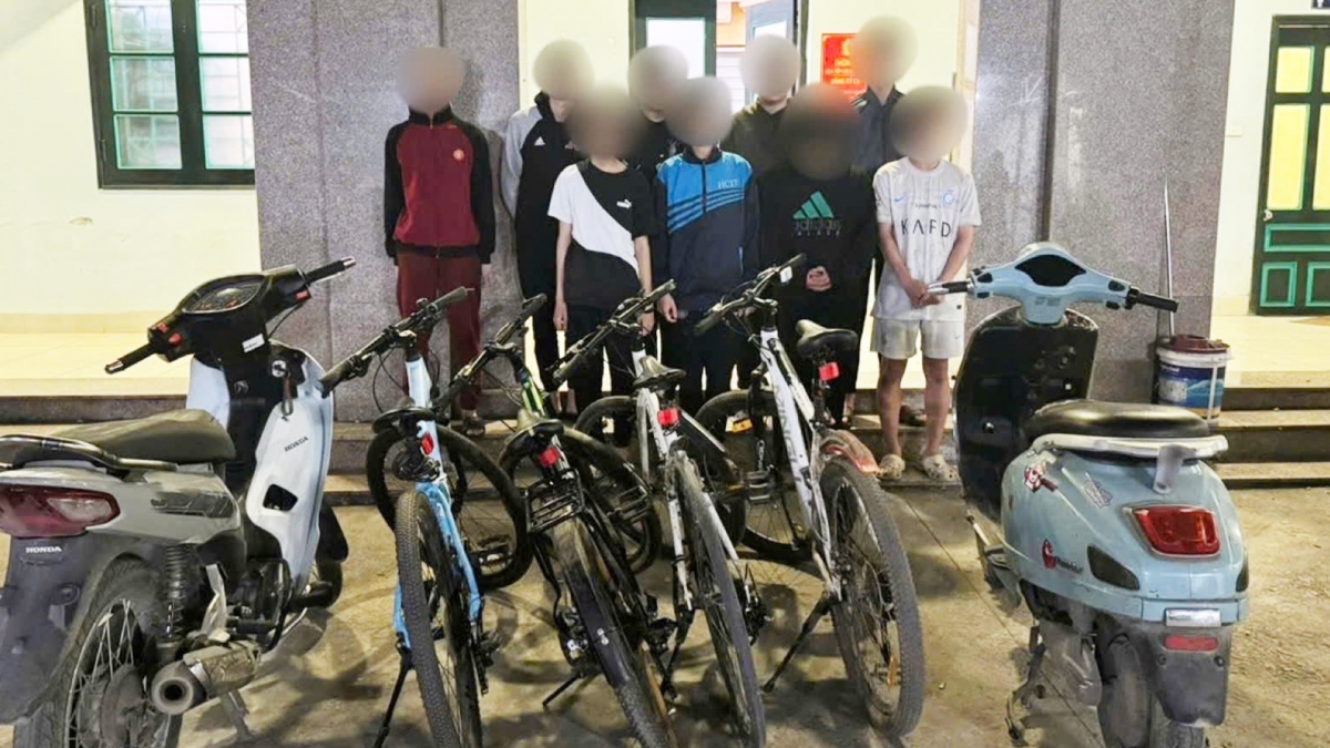 bat gon o nhom trom nhi thuc hien 11 vu trom trong 20 ngay hinh anh 1