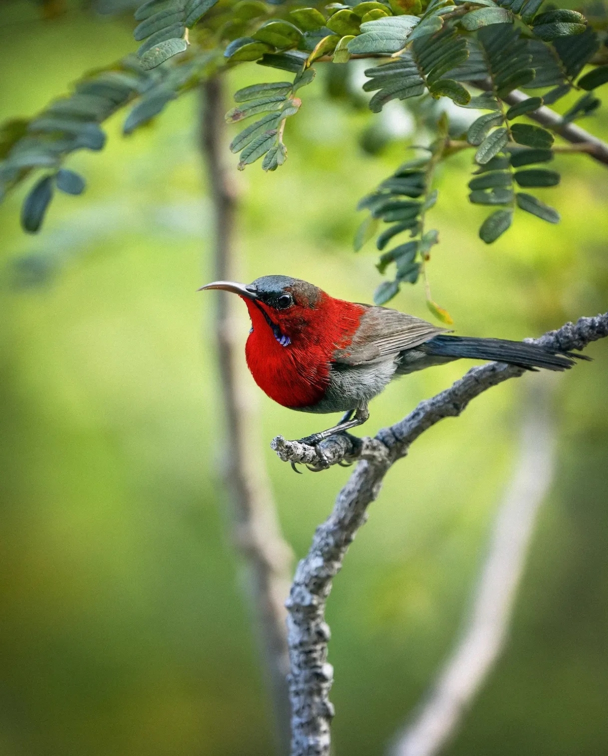 hue named among world s best birdwatching places picture 1
