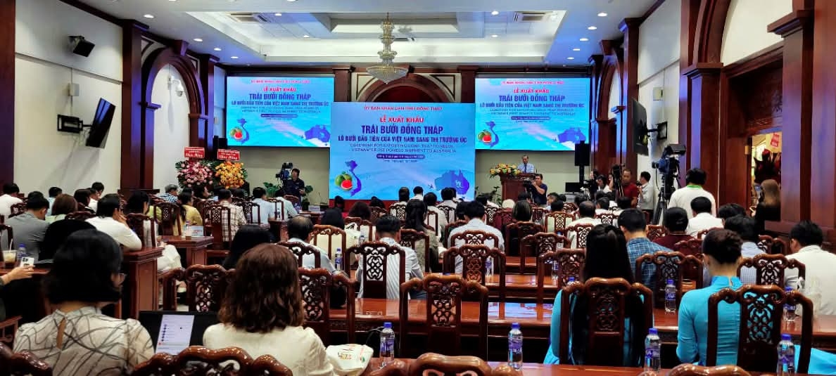 dong thap exports first batch of green-skin pomelos to australia picture 2