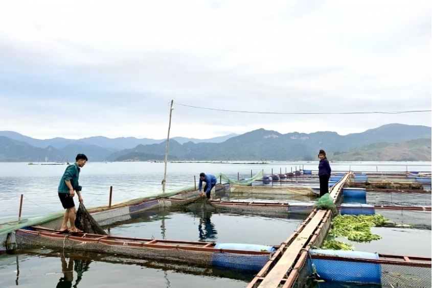 thoat ngheo, vuon len kha gia tu dau tu nuoi ca long tren long ho thuy dien hinh anh 2