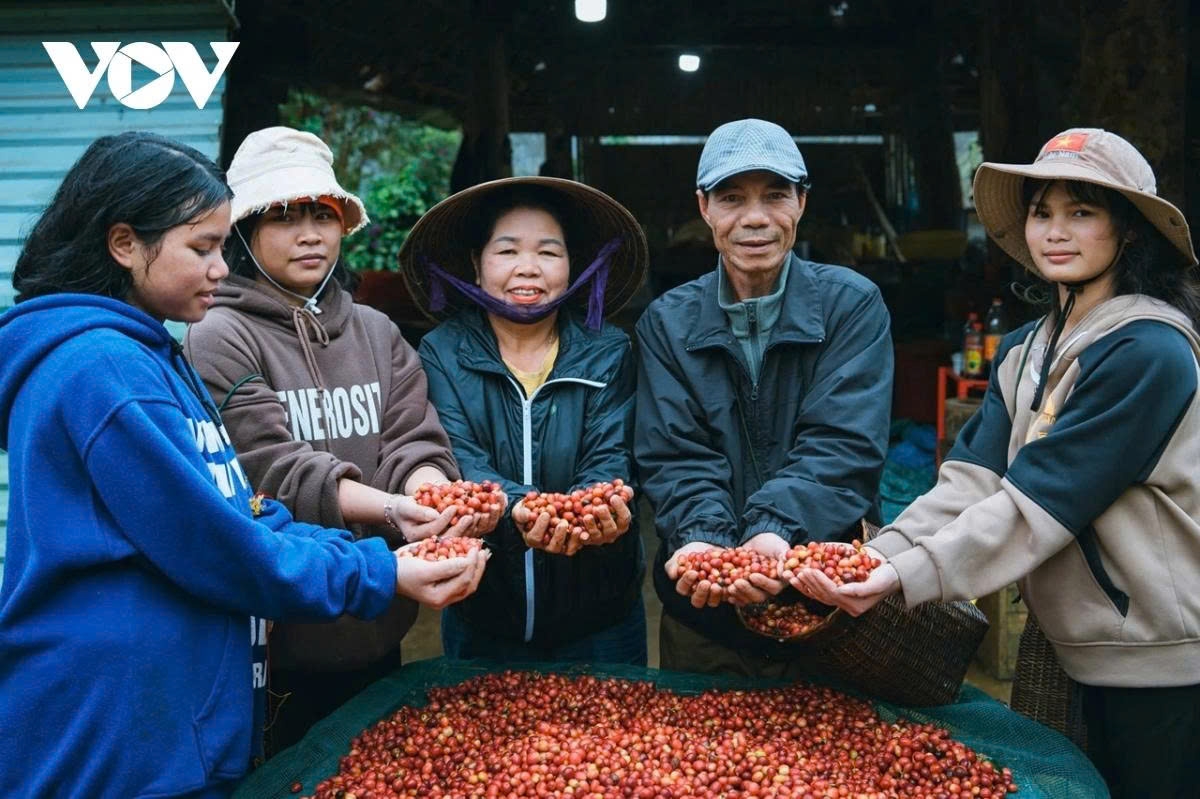 gia ca phe hom nay 28 4 ca phe the gioi giam nhe hinh anh 3