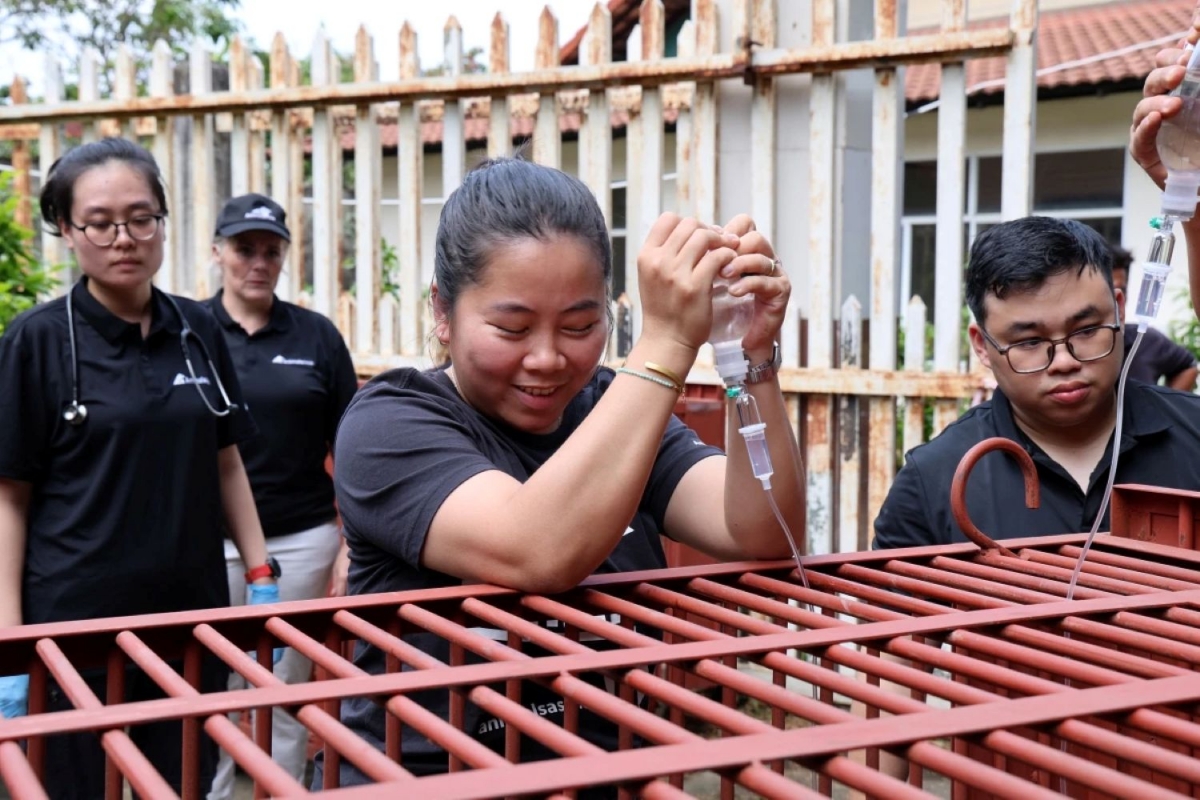 Dua 4 con gau nuoi nhot o tp.hcm ve vuon quoc gia bach ma hinh anh 3