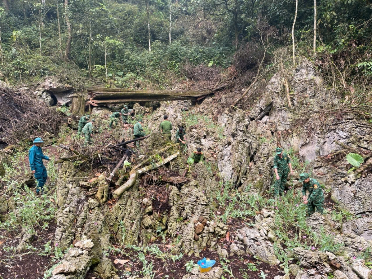 thu giu tren 600kg nguyen lieu thuoc la, tieu huy gan 500 cay thuoc phien hinh anh 3