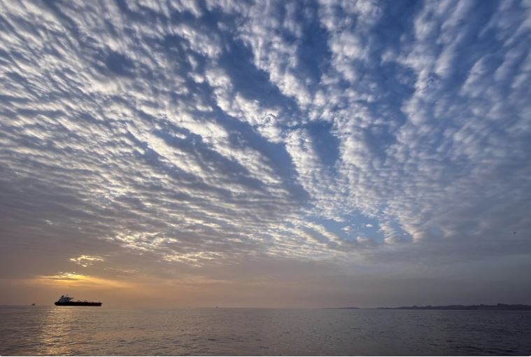 my va anh ban ve nhu cau cap thiet khoi phuc van tai qua eo bien hormuz hinh anh 1