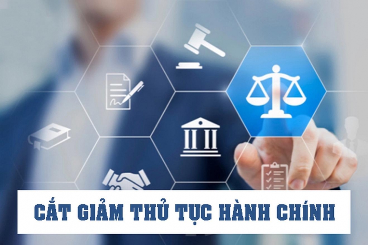 chinh phu ban hanh 8 nghi quyet cat giam, don gian hoa thu tuc hanh chinh hinh anh 1