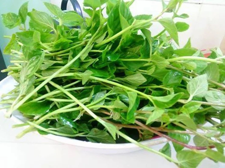 Rau dại vùng núi cao “gây sốt” thị trường