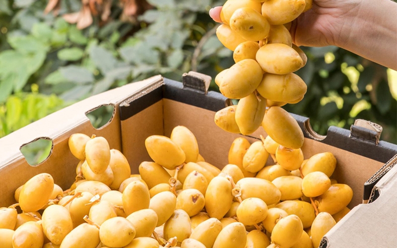 cha la - sieu qua ngot tu nhien va nhung loi ich suc khoe it nguoi biet hinh anh 1