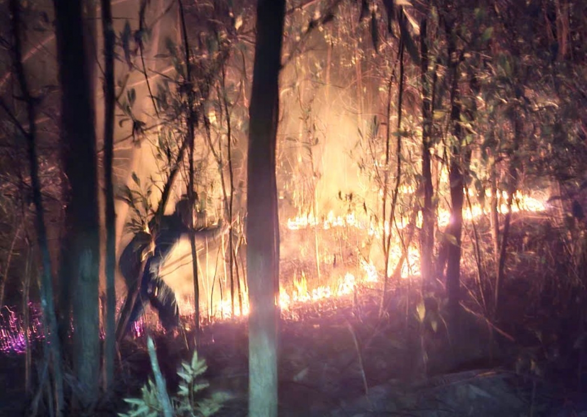 hue giu rung giua cao diem nang nong dac biet gay gat hinh anh 1