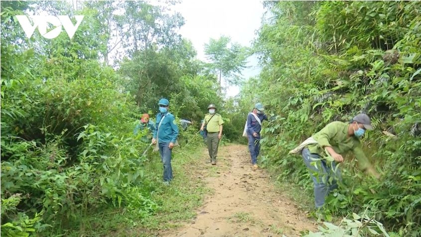 nang nong gay gat dien rong, son la canh phong 24 24h de chong chay rung hinh anh 3