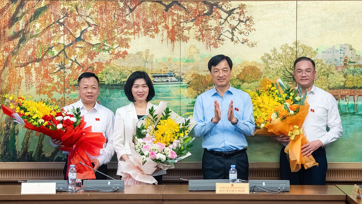 ha noi bau pho truong Doan Dbqh va dai bieu quoc hoi chuyen trach khoa xvi hinh anh 2