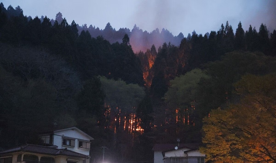 chay rung van tiep tuc tan pha thi tran otsuchi nhat ban hinh anh 1