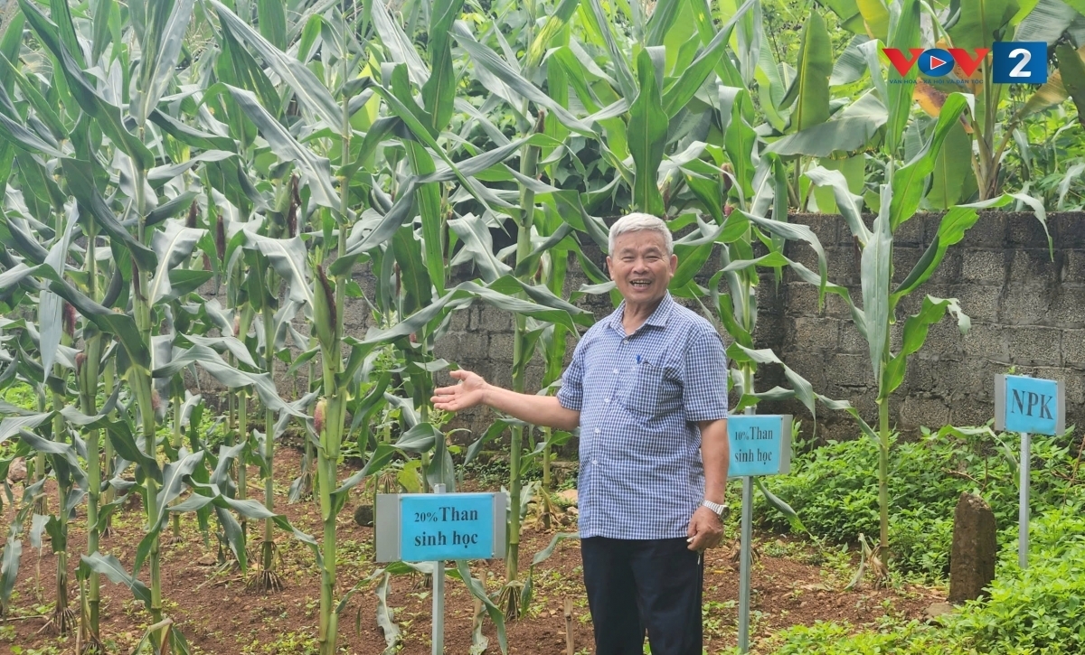 gia hoa dan so mo ra co hoi lon cho kinh te bac tai viet nam hinh anh 2