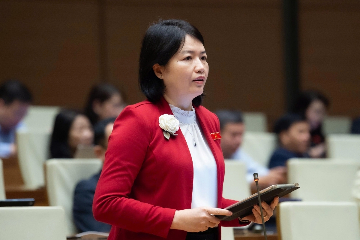 Dai bieu quoc hoi de nghi cam hoac han che tre em dung mang xa hoi hinh anh 1