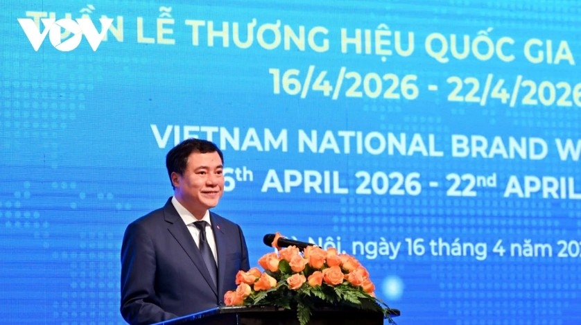 vietnam national brand grows fast in quantity, not yet strong in quality picture 3