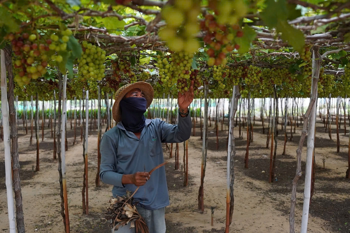 tang toc giai phong mat bang du an dien hat nhan sau khi co chinh sach moi hinh anh 3