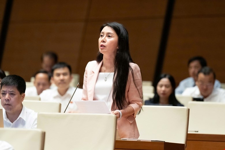 Dbqh nhieu kien nghi cua cu tri chua duoc giai quyet den cung hinh anh 1