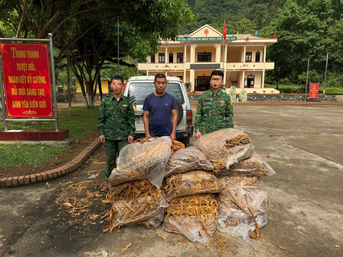 thu giu tren 600kg nguyen lieu thuoc la, tieu huy gan 500 cay thuoc phien hinh anh 1