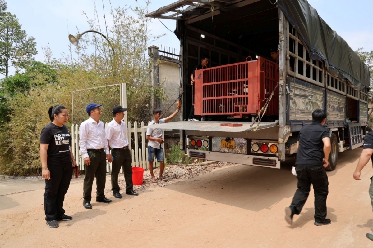 Dua 4 con gau nuoi nhot o tp.hcm ve vuon quoc gia bach ma hinh anh 5