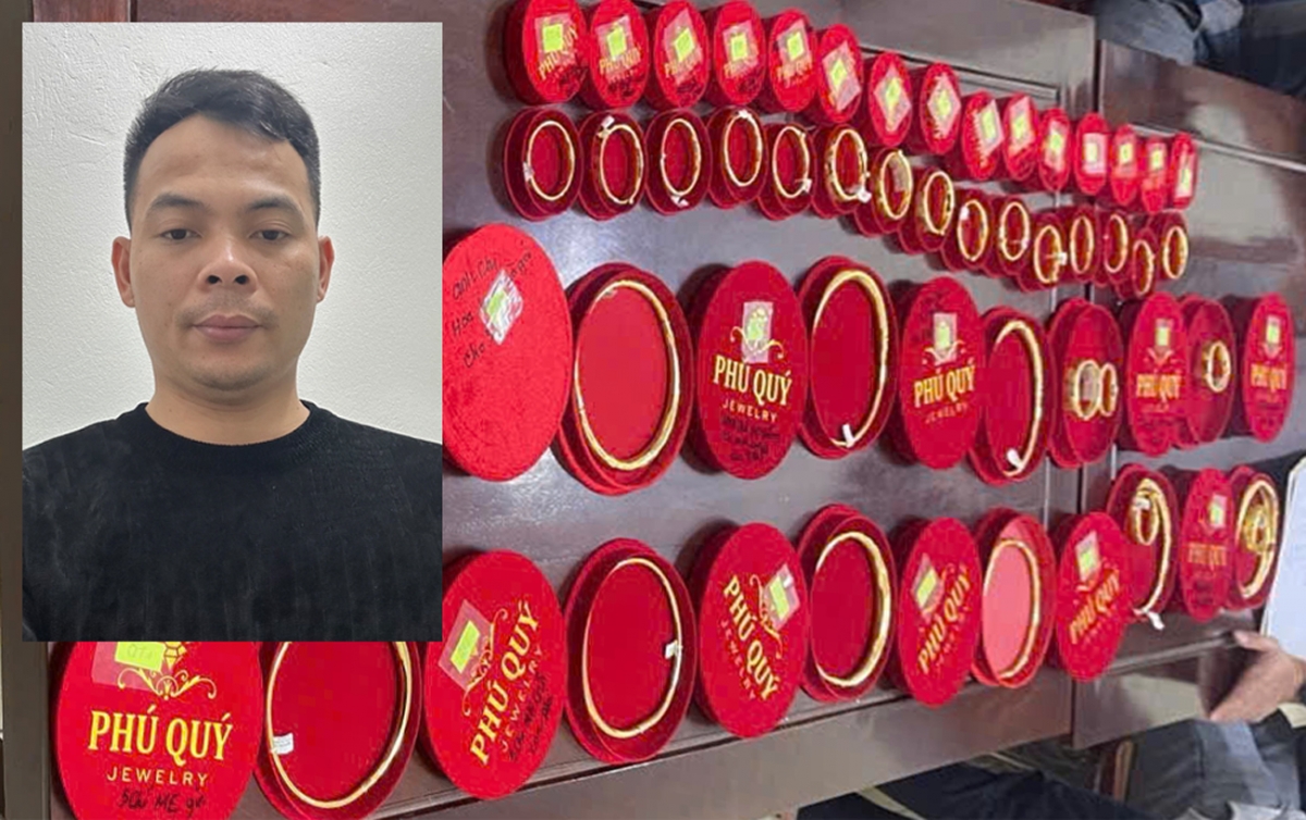 khoi to doi tuong lua dao cam co vang gia, chiem doat hon 1,6 ty dong hinh anh 1