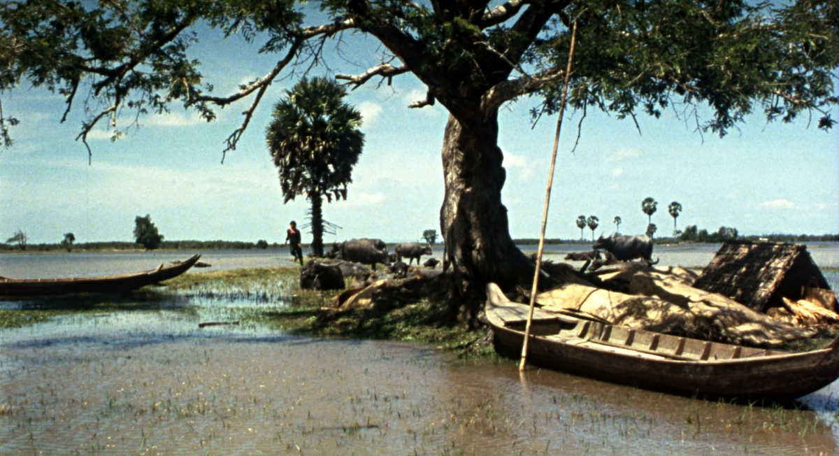 Dong phim cung 300 con trau, dan sao viet ke chuyen do khoc do cuoi hinh anh 3