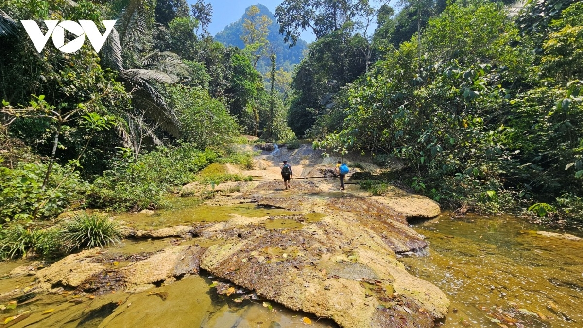 26 new caves discovered in phong nha - ke bang national park picture 6