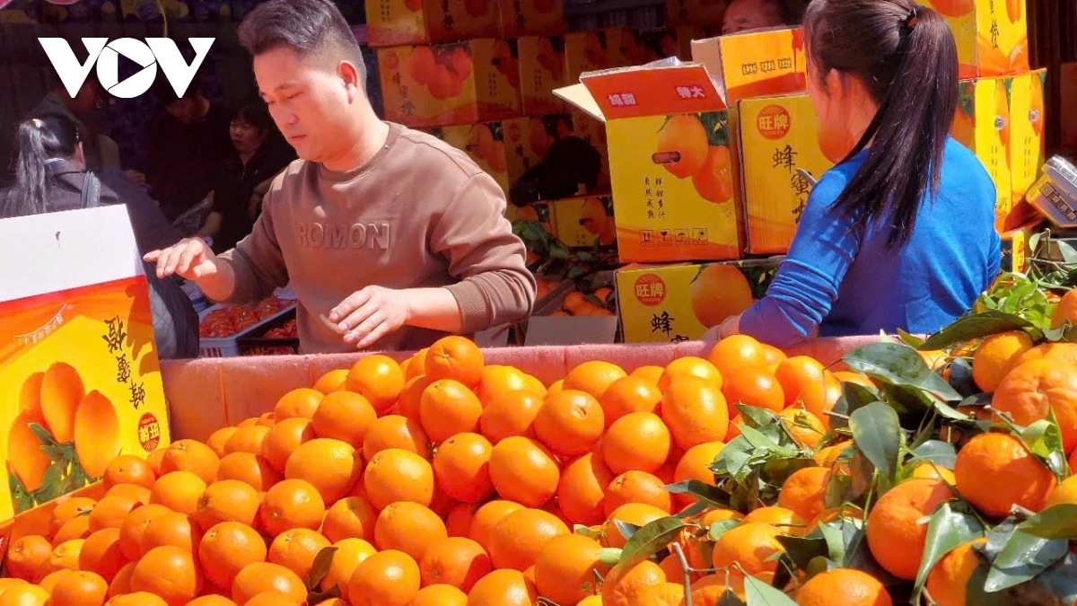 vietnam-china cooperation mechanism boosts market access for vietnamese firms picture 2