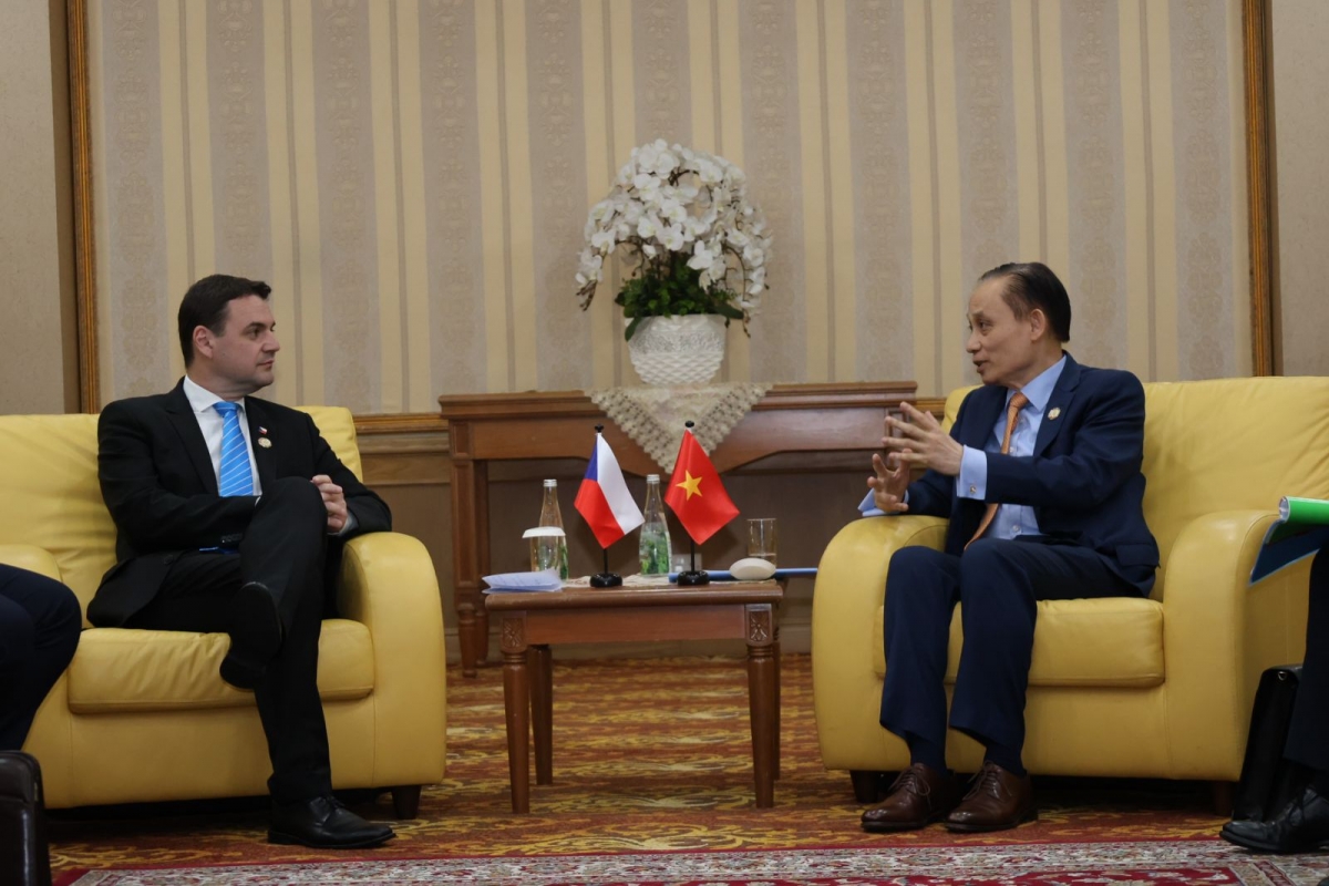 viet nam thuc day hop tac chien luoc voi cac doi tac asean va eu hinh anh 4