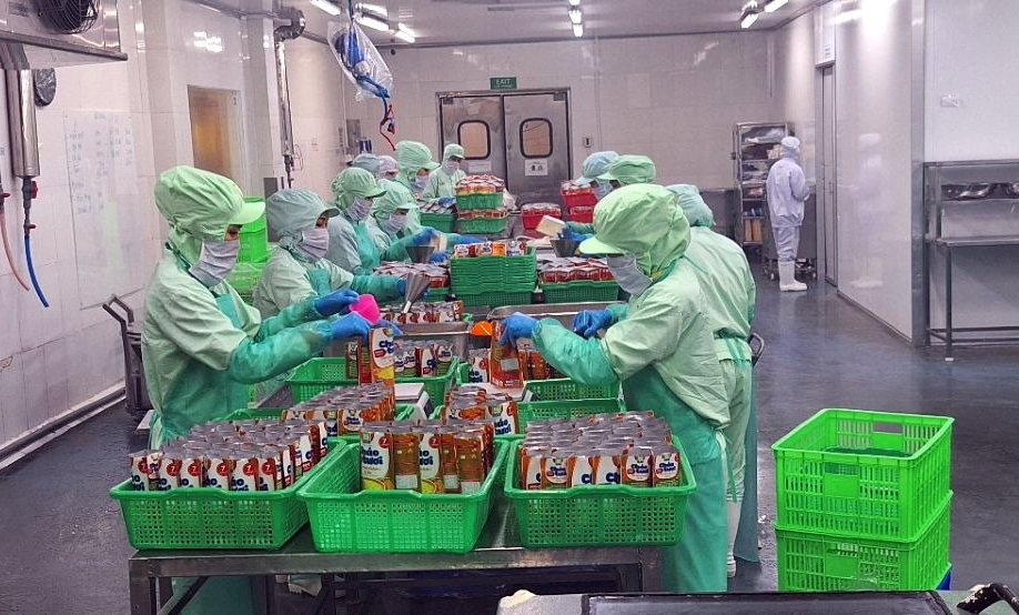 green transition key for vietnamese firms to meet esg standards in malaysia market picture 2