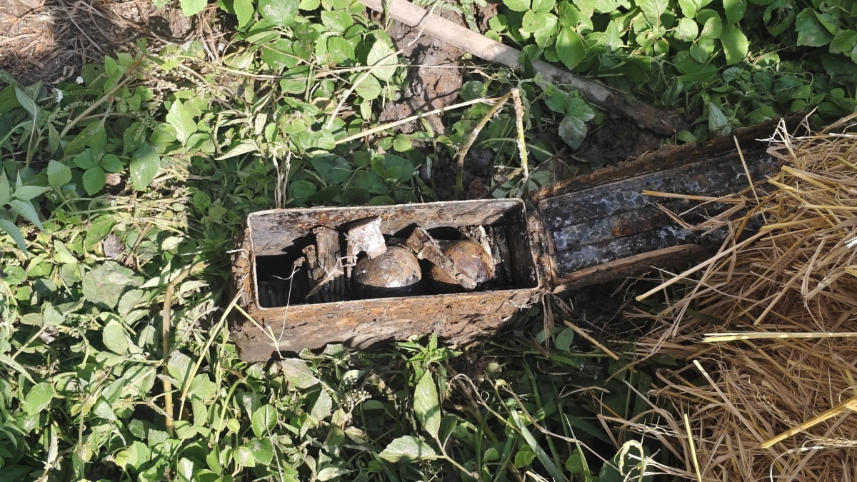 phat hien, thu gom 2 luu dan va hon 600 vien dan nguy hiem o vinh long hinh anh 2