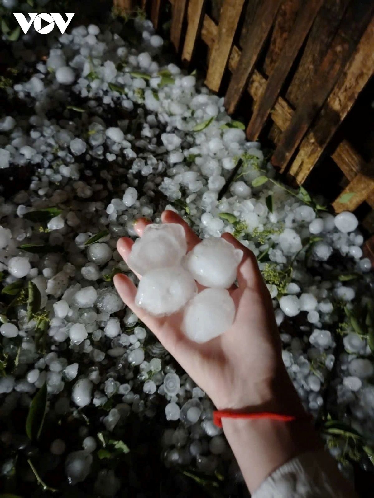large hailstorm causes damage in northern vietnam picture 1