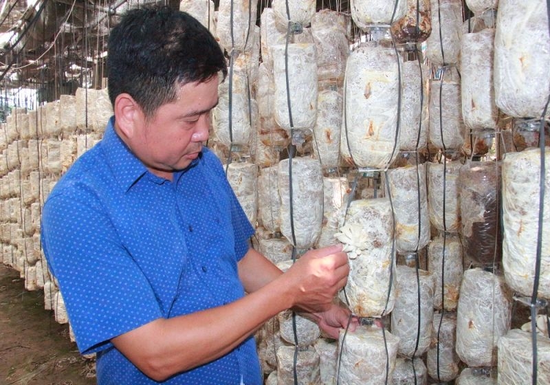 ocop muon di xa can nam trong he sinh thai thi truong hinh anh 1