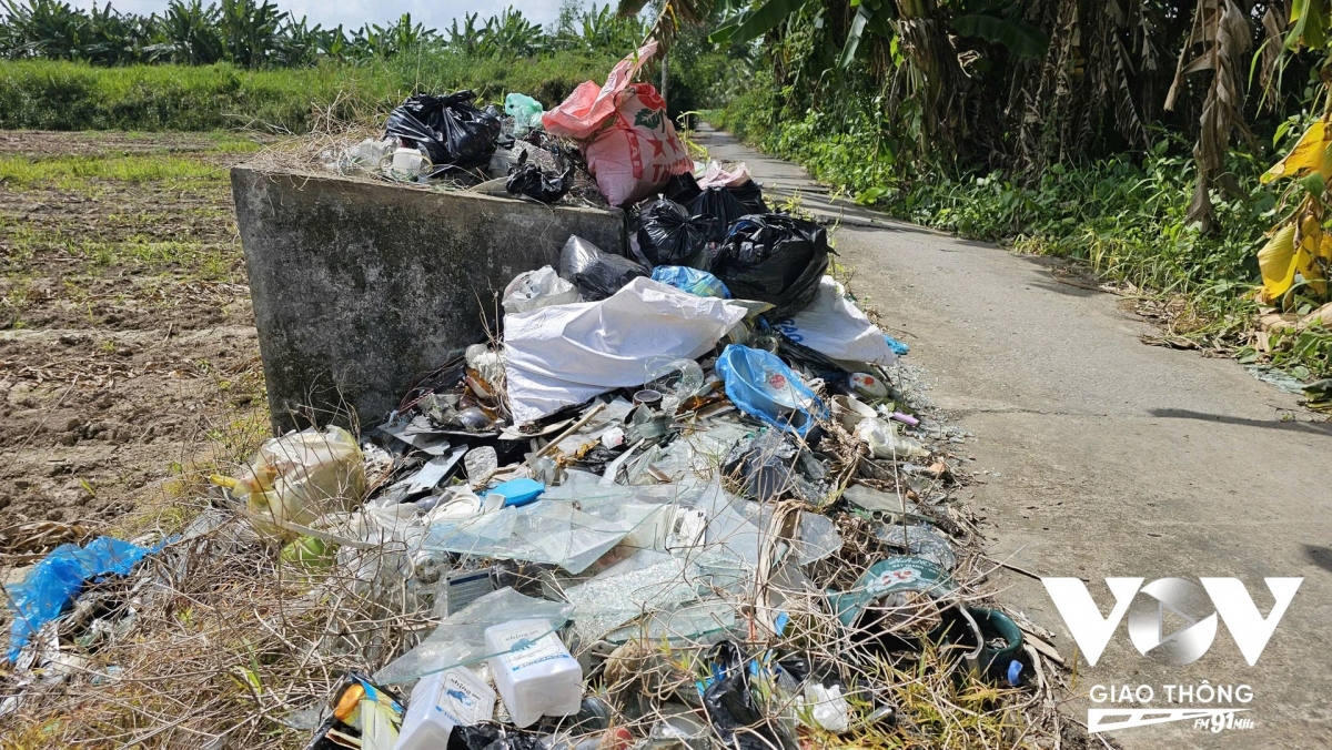 rui ro o nhiem tu bao bi thuoc bao ve thuc vat hinh anh 1